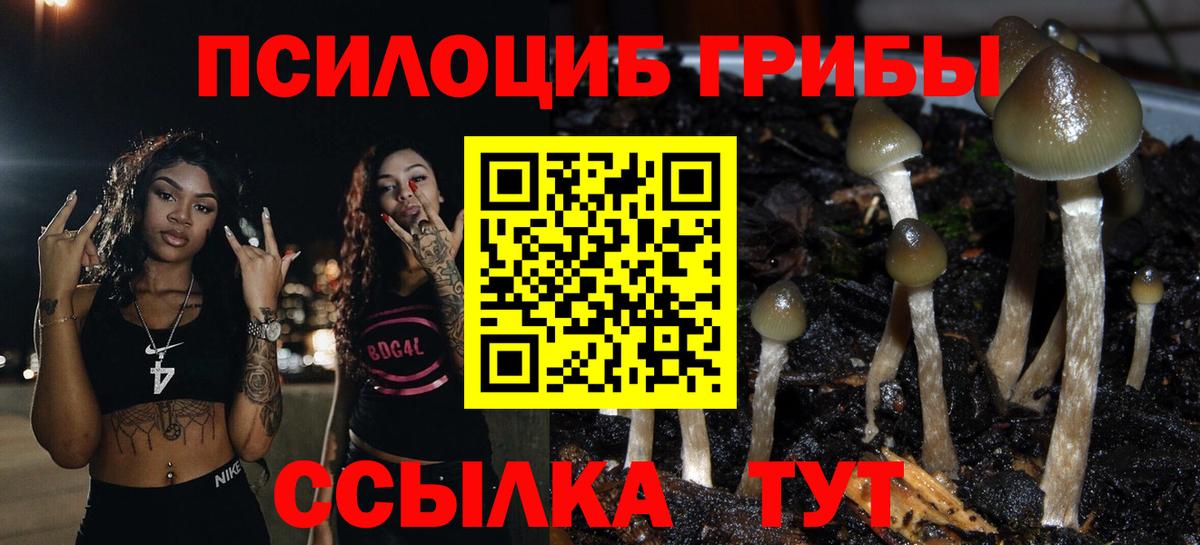 Псилоцибиновые грибы GOLDEN TEACHER Мегион